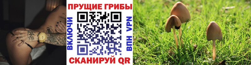 где найти наркотики  Кириши  ссылка на мегу онион  Галлюциногенные грибы мухоморы 